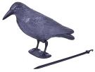 STREND PRO plastic Bird repellent Raven 38cm (SL8090453X)